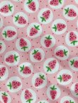 Photo4: Adult Baby Diaper Cover Strawberry Print Pile Waterproof